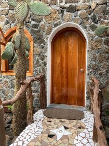 een houten deur in een stenen gebouw met een cactus bij La Fortaleza De Haro in Puerto Ayora