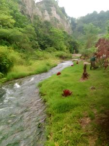 a river in the middle of a grassy field at Tapian Ratu Camp in Bukittinggi