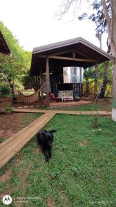 un cane nero steso sull'erba in un giardino di Trailer de Viagem no Rancho Santo Sol a Pederneiras
