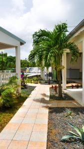 En have udenfor LES GÎTES DES MOULIN