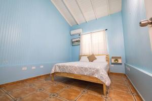 um quarto com uma cama num quarto azul em Jobos Beach Apt #2 near food truck and beach em Isabela