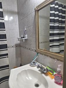 lavabo con espejo y cepillo de dientes en Habitación BA en Florida