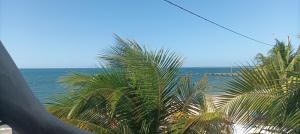 una vista del océano con palmeras en la playa en Apartamentos Manik, en Trujillo