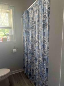 a bathroom with a toilet and a shower curtain at Cozy Home Away from Home in Clayton
