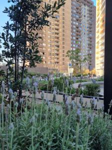 een tuin met witte bloemen voor hoge gebouwen bij Departamento pasos Mall Plaza Vespucio in Santiago