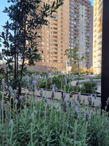 a garden with white flowers in front of tall buildings at Departamento Centro de La Florida in Santiago