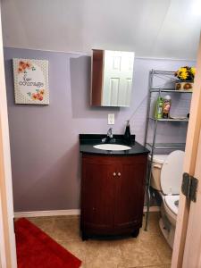 a bathroom with a sink and a toilet at Winnipeg Place to Stay in Winnipeg