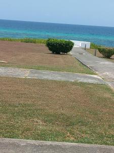 Φυσικό τοπίο κοντά σε αυτό το διαμέρισμα