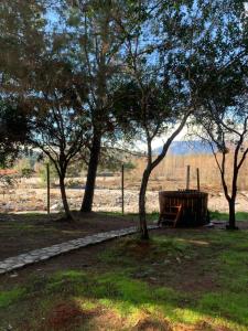 a wooden bench in a park with trees at Cabañas el Yacal in El Bolsico