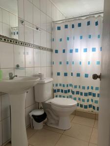 La salle de bains est pourvue de toilettes, d'un lavabo et d'une douche. dans l'établissement Cabañas el Yacal, à El Bolsico