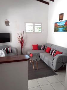 a living room with a gray couch and red pillows at Agréable maison 3 pièces tout confort pour 4 personnes - Vue sur jardin in Saint-François