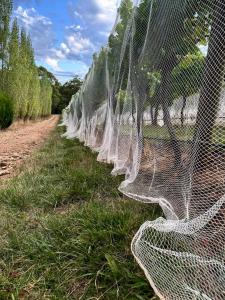 een hek met een net aan de zijkant van een veld bij Frogs Pond in Red Hill