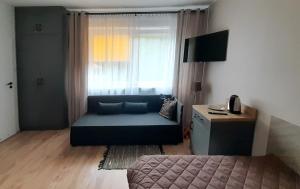 a living room with a bed and a window with at Trzy Kolory in Polanica-Zdrój