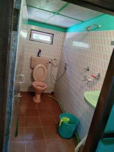 a small bathroom with a toilet and a sink at Hillsation Thulung Homestay in Kalimpong