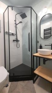 a bathroom with a glass shower with a sink at Trzy Kolory in Polanica-Zdrój