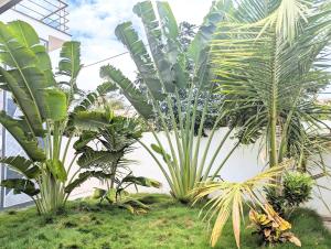 a group of palm trees in a building at Coimbatore Premium Private Villa a FAMILY RESORT kids, celebration hall in Coimbatore +40 photos