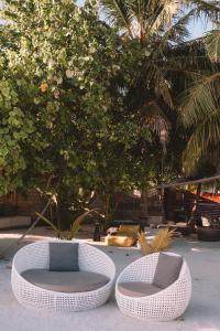 Foto dalla galleria di Tranquil Nest Vaavu a Rakeedhoo