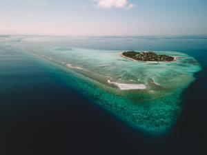 Foto dalla galleria di Tranquil Nest Vaavu a Rakeedhoo