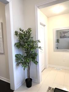 Foto sihtkohas Thorold asuva majutusasutuse Spacious,comfy house,less than 15 mins to Niagara Falls galeriist