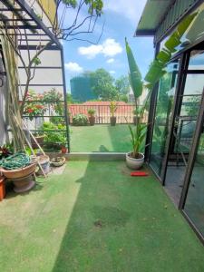 eine Terrasse mit Gras und Pflanzen in einem Gewächshaus in der Unterkunft Homestay Torna A Casa không thang máy in Hanoi
