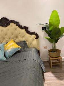 a bedroom with a bed and a potted plant at Homestay Torna A Casa không thang máy in Hanoi