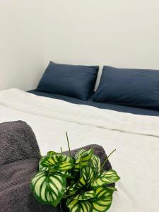 a bedroom with a bed with a plant on it at 3BR MINIMALIST Homestay NEAR KKIA Cyber City in Kapayan