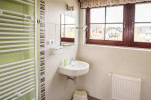 a bathroom with a sink and a mirror at Apartmány Chajdovka in Boží Dar +19 photos