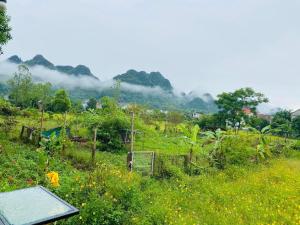 un champ d'herbe avec des montagnes en arrière-plan dans l'établissement Jungle Boss Homestay, à Phong Nha