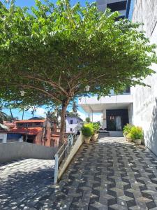 a tree on a sidewalk in front of a building at Hotel B R REGENCY in Trivandrum