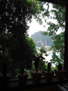 un grupo de plantas en macetas sentadas en el alféizar de una ventana en Camp Talusi Hills Overlooking, en El Nido