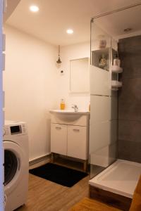 een badkamer met een wastafel en een wasmachine bij Appartement au Centre ville historique Le vieux Langres in Langres
