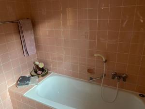 a bathroom with a bath tub with a shower at Gemütliche Wohnung Nähe Schloss in Biedenkopf