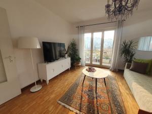 TV a/nebo společenská místnost v ubytování Charming Penthouse near Como lake