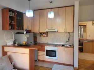 een keuken met houten kasten en een witte koelkast bij Nika's Apartment in Skopje