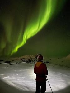 uma pessoa de pé na neve observando a aurora boreal em Nordmannsneset på Seiland em Hammerfest