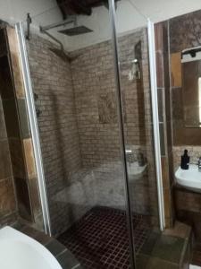 een badkamer met een douche en een wastafel bij Harties Lodge - Private Suite in Hartbeespoort