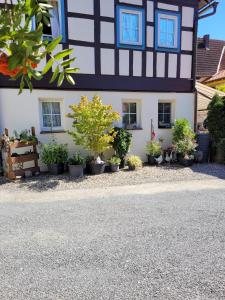 a house with potted plants in front of it at Ferienwohnung Itzgrundruhe in Untermerzbach