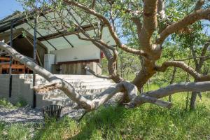 a tree that has been uprooted in front of a house at Etosha Safari Camping2Go in Okaukuejo