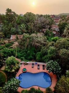 vista sulla piscina in una foresta di Ivy Retreat- Serviced Apartments a Baga