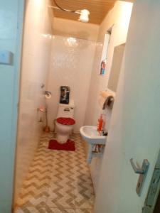 ein Bad mit einem WC und einem Waschbecken in der Unterkunft Pelia Rose Guesthouse in Kisumu