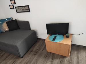 ein Wohnzimmer mit einem Sofa und einem Tisch mit einem TV in der Unterkunft Grossvaters Haus - Oba's Heisle in Lauingen