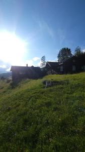 um campo de relva verde com casas ao fundo em Hallingstue by Hallstensgaard - Geilo em Geilo