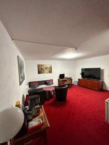 a living room with a red carpet and a flat screen tv at Kaiserburg Apartment in Nuremberg