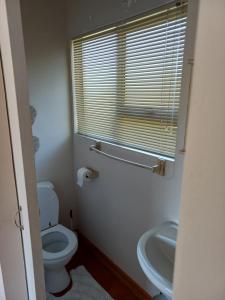a bathroom with a toilet and a sink and a window at Twogether self catering in Clarens