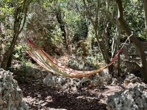 a hammock hanging from a tree in a forest at הקטלב- בקתה בין קטלב אחד ואלונים in Abirim