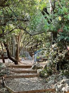 הקטלב- בקתה בין קטלב אחד ואלונים في Abirim: مجموعة من السلالم في حديقة بها أشجار