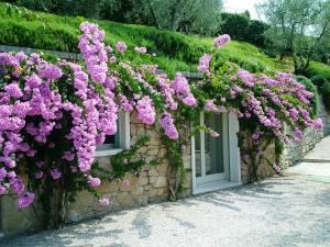 トッリ・デル・ベーナコにあるMINI DI LUSSO CON PISCINAの石壁に飾られたピンクの花束 +3枚の写真