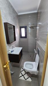傑里科的住宿－alzain villas - فلل الزين اريحا，一间带卫生间和水槽的浴室