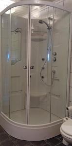 uma cabina de duche em vidro numa casa de banho com WC em Apartment by the fjord em Storekra