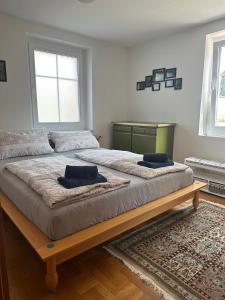 ein großes Bett mit zwei Kissen darauf in einem Schlafzimmer in der Unterkunft Bludenz Apartments RosaKlein-30m2 & RubinaGross-100m2 in Bludenz